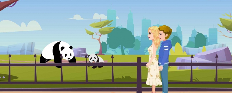 官方回应丫丫4月7日是否能回国 丫丫什么时候能回国最新消息