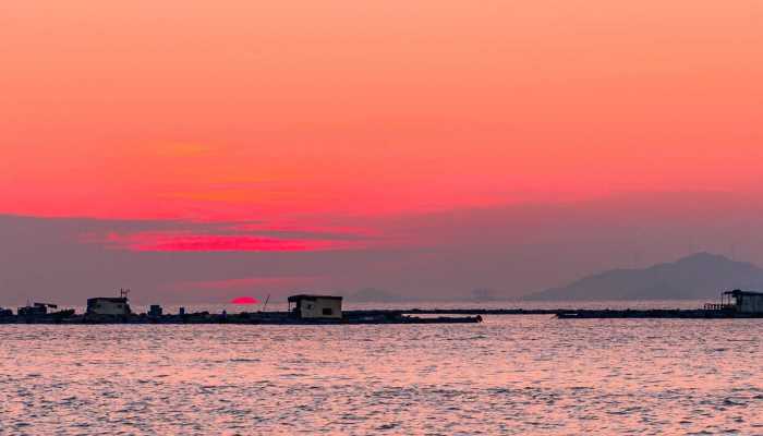 蓝眼泪将迎高发期啦 哪里可以观赏到蓝眼泪景象