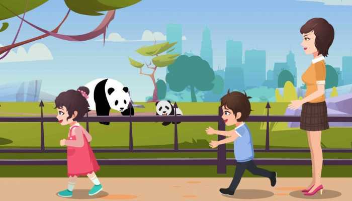 官方证实大熊猫宝新已去世 死因正在调查中