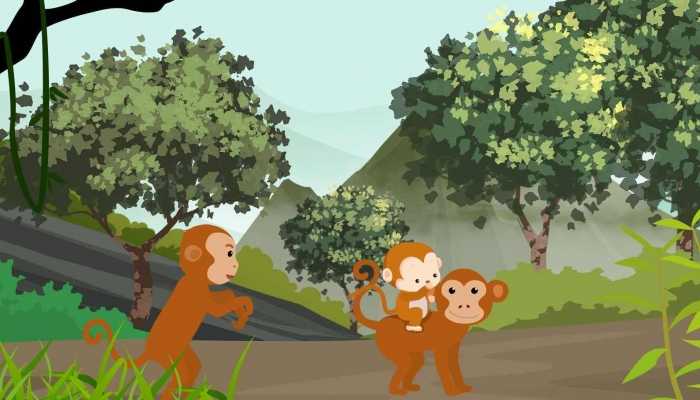 动物园大猩猩被发现在直立行走 大猩猩未来会进化成人吗