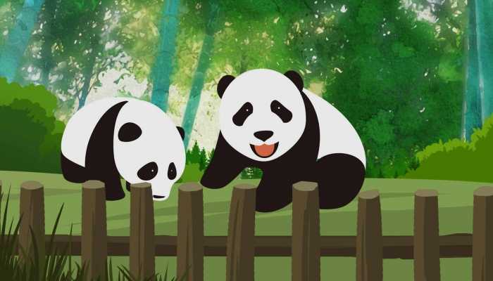 广东人把大熊猫养成了阿伯 躺“太师椅”享用“早茶时光”