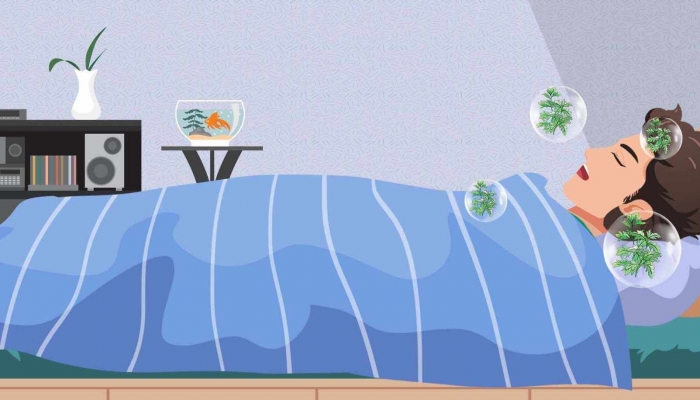 睡不好的人容易变胖是怎么回事 北京为全国最能熬夜城市