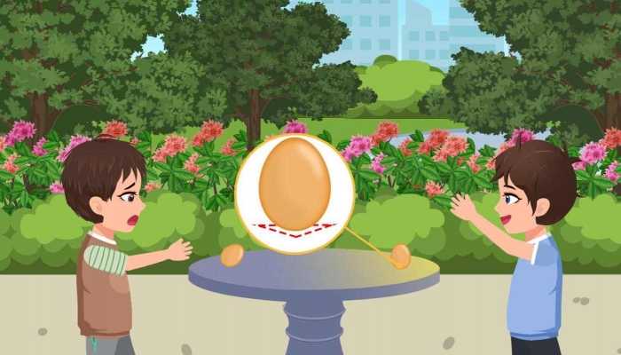 春分竖蛋的意义是什么 春分竖蛋的文化