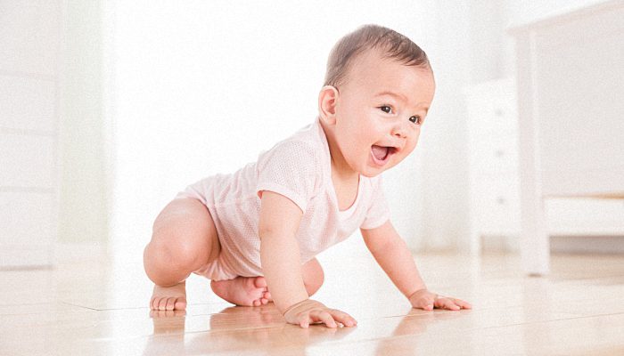 属兔男孩名字大全2023 2023年属兔男孩吉祥名字