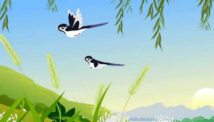 2023春分节气下雨吗 春分节气下雨有什么说法