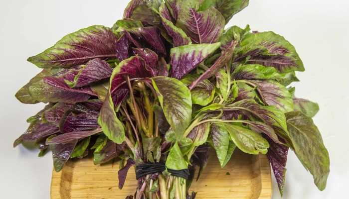 春分该吃什么 春分时节适宜吃什么食物好