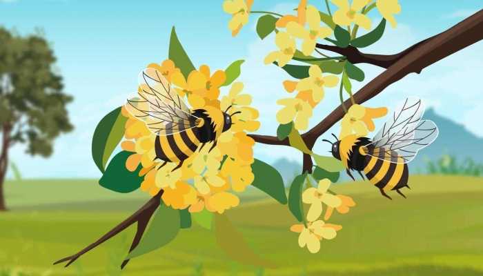 春分养生原则 春分时节养生的宜和忌