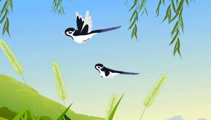 春分节气祝福发语朋友圈 2023春分祝福语简短一句话