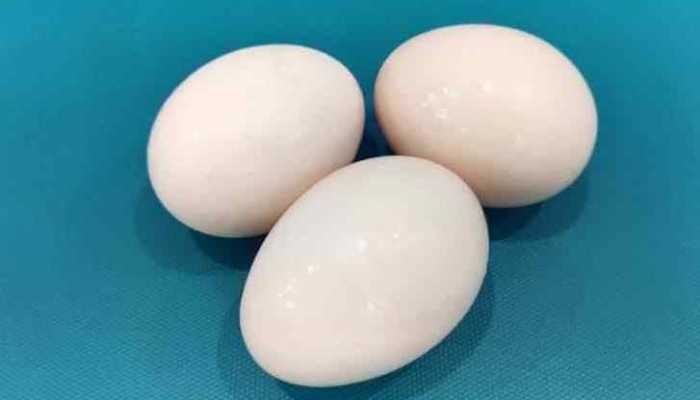 春分竖蛋是什么原理 春分竖蛋习俗原理是啥