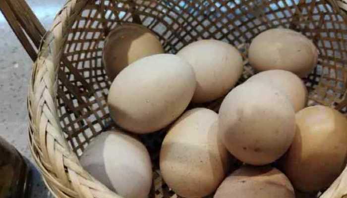 春分竖蛋怎么做 春分竖鸡蛋的小技巧