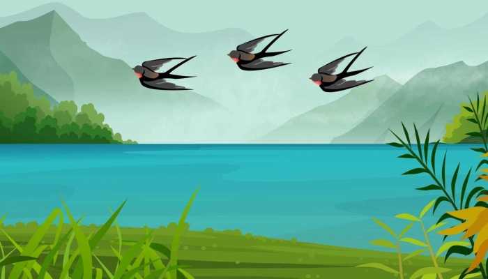 春分饮食习俗 春分喝什么汤