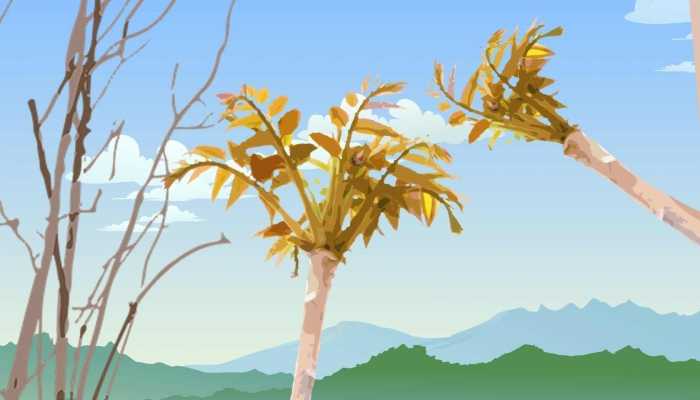 春分吃的春菜是什么菜 春分记得吃四样春菜