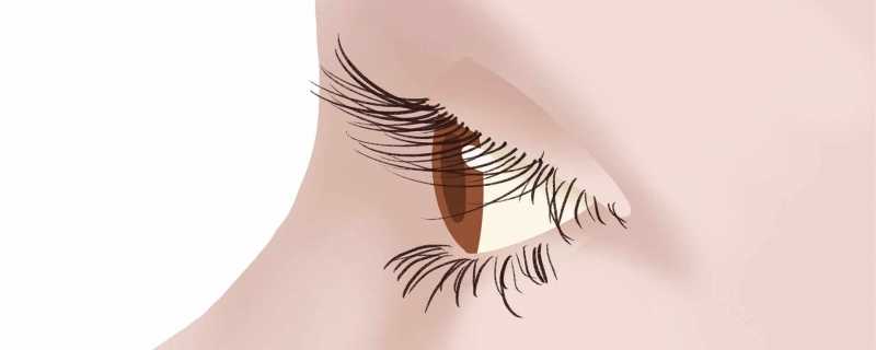 15岁男孩爱揉眼2次揉掉视网膜是怎么回事 15岁男孩爱揉眼2次揉掉视网膜具体情况