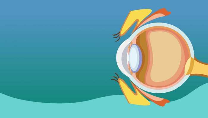 15岁男孩爱揉眼2次揉掉视网膜是怎么回事 15岁男孩爱揉眼2次揉掉视网膜具体情况