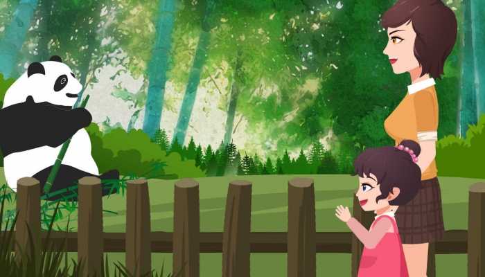 大熊猫被小鸟薅毛毫无反应 喜鹊为什么会盯上大熊猫身上的毛