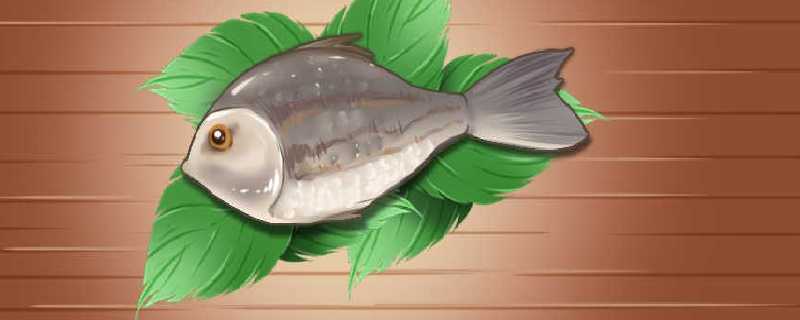 半天妖烤鱼两涉事门店永久关停是怎么回事 半天妖烤鱼两涉事门店永久关停具体情况