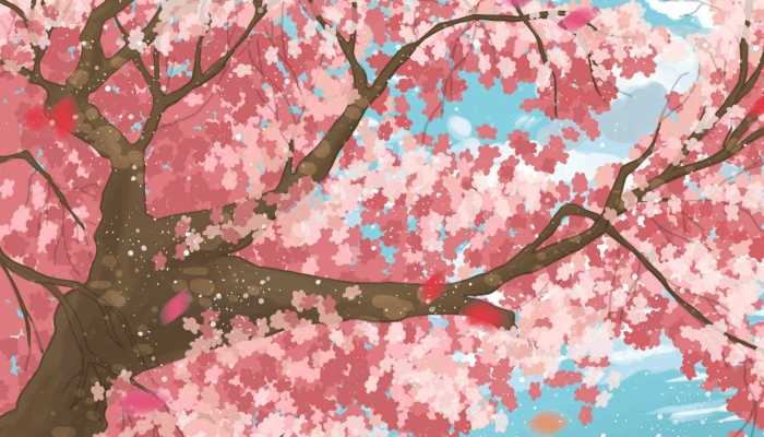 南京莫愁湖海棠沐雨盛开 我国赏海棠最佳去处有哪些