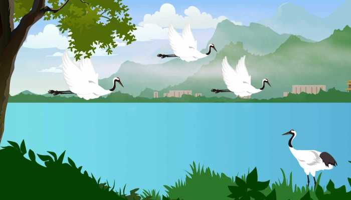 万鸟翔集大批候鸟迁回吉林保护地 天气回暖呈现万鸟翔集生态景观