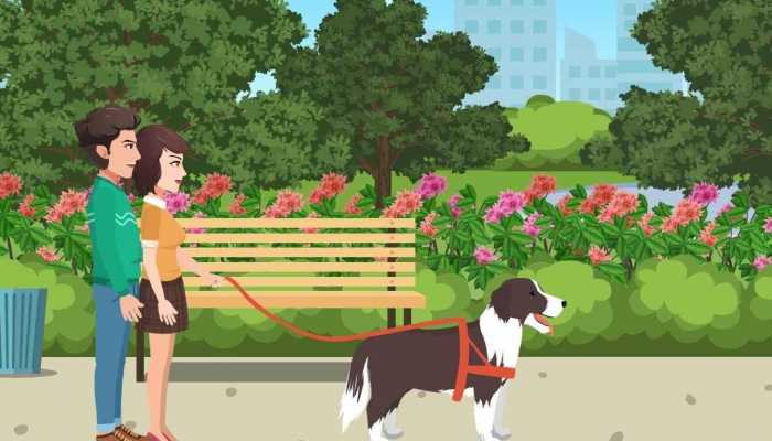 警犬在木炭中嗅出毛肚等走私货物 汪汪队立大功