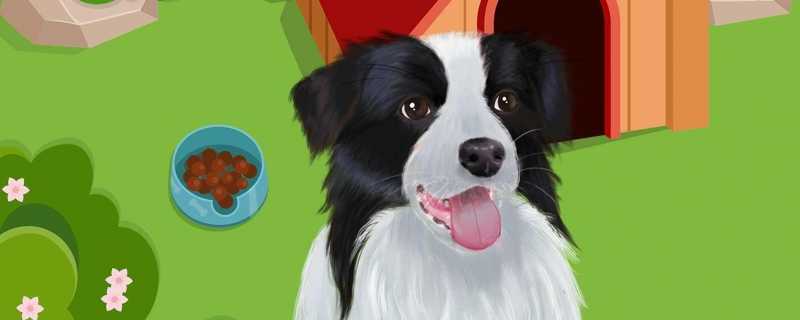 警犬在木炭中嗅出毛肚等走私货物 汪汪队立大功