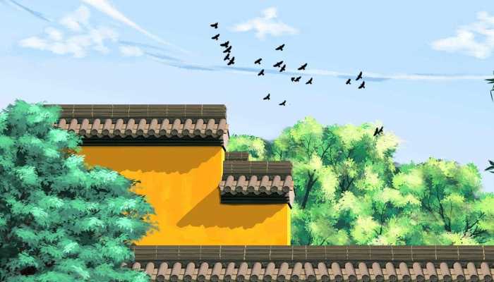 灵隐寺旁小溪中大量放生乌龟死亡 灵隐寺景区呼吁大家停止放生