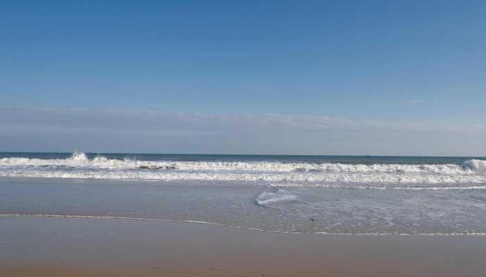 广州报名骨灰撒海市民逐年增多 如何预约报名和申领补贴