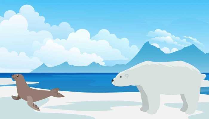 俄罗斯多地夜空现绝美极光 为百年一遇景象