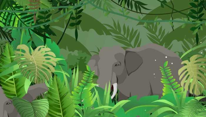 已灭绝猛犸象DNA被培育制成肉丸 开发企业:还不能食用蛋白质有4000年历史