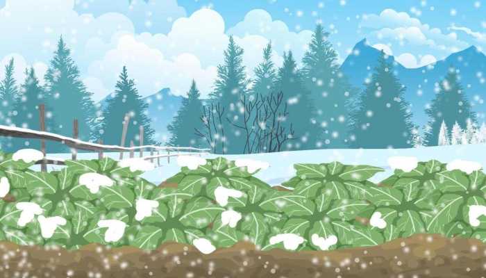 我国今年来范围最广最强雨雪上线 大风沙尘天气也来凑热闹