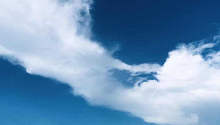 今天沈阳比广州还暖和 今年首次达到20℃