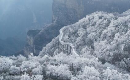 湖南张家界一景区摆渡车侧翻入沟 背后真相实在让人惊愕