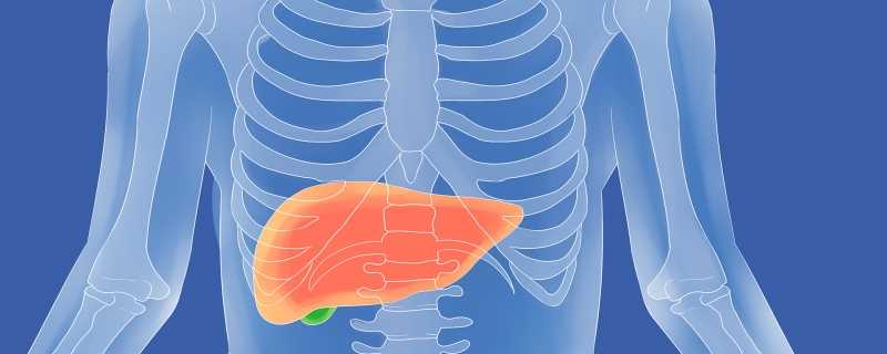 俗话说气大伤肝这种说法科学吗 气大伤肝的说法对不对