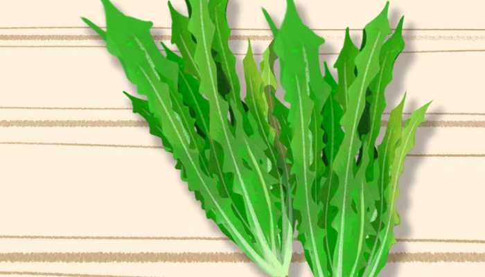 高校回应老人82元只买俩素菜说了什么 高校回应老人82元只买俩素菜具体内容