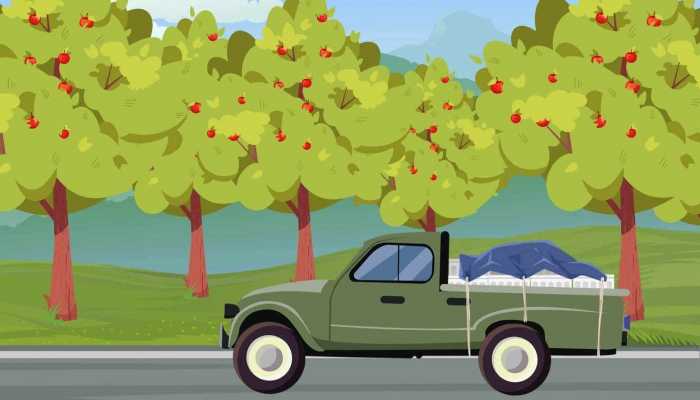 理想回应无人陵园雷达显示全是人影 无人陵园雷达显示全是人影是怎么回事