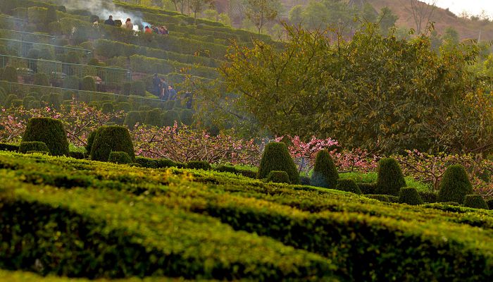 2023年3月31日适合扫墓吗 2023年3月31日是扫墓黄道吉日吗