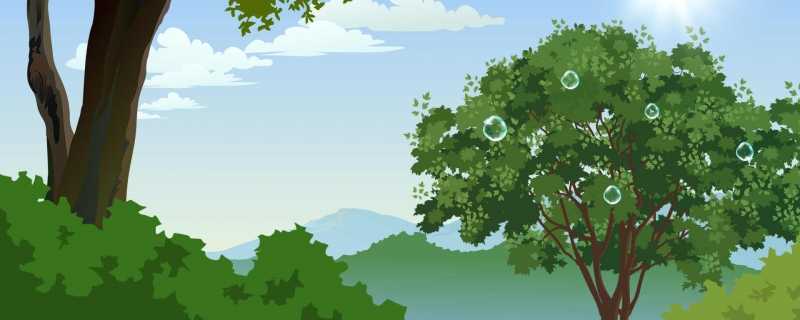 经济林补偿多少钱一亩 长得快又值钱的经济林有哪些品种