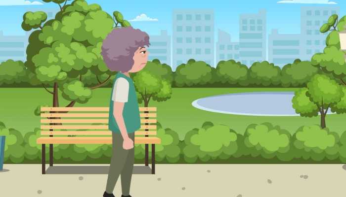 经济林补偿多少钱一亩 长得快又值钱的经济林有哪些品种