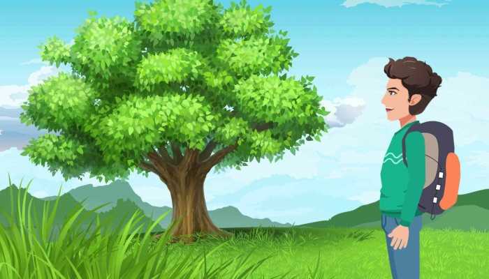 经济林砍伐要审批吗 经济林补偿标准要咨询什么部门