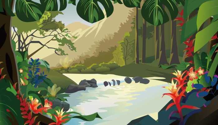 热带雨林主要树种 热带雨林的特点是什么