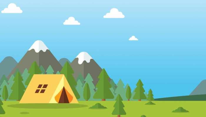 热带雨林主要树种 热带雨林的特点是什么