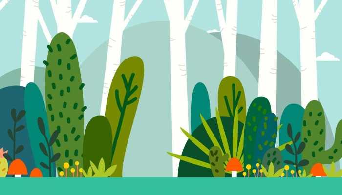 经济林种什么最挣钱 生产工业原料为主的经济林