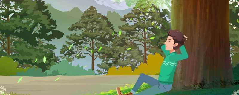 经济林种什么最挣钱 生产工业原料为主的经济林