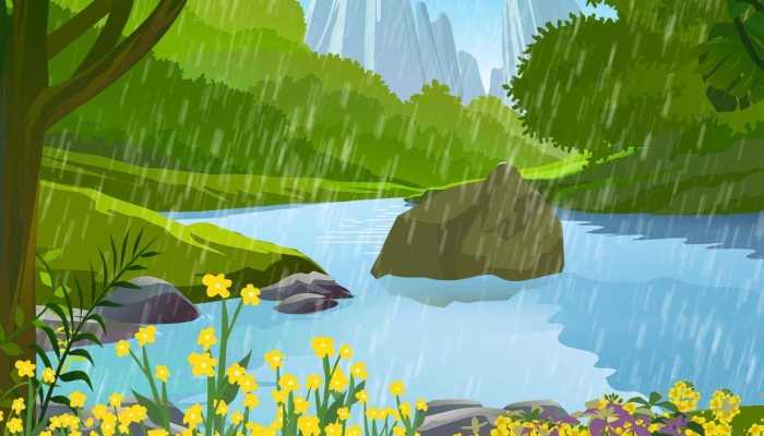 沙柳是什么植物 沙柳的应用前景