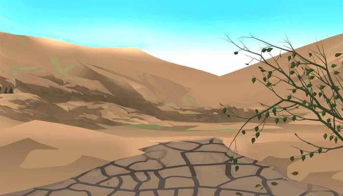 沙柳适合种在沙漠吗 沙柳的生长环境