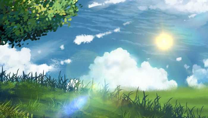 防风绿化用什么树 树木的相关知识