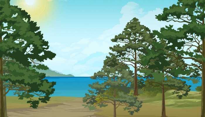 防风绿化用什么树 树木的相关知识