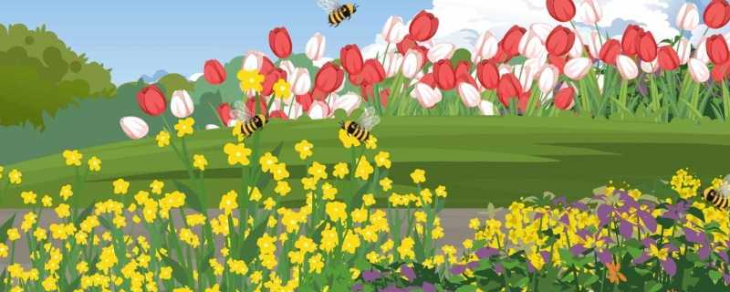 为什么自然界中少有绿色的花 绿色的花存在吗