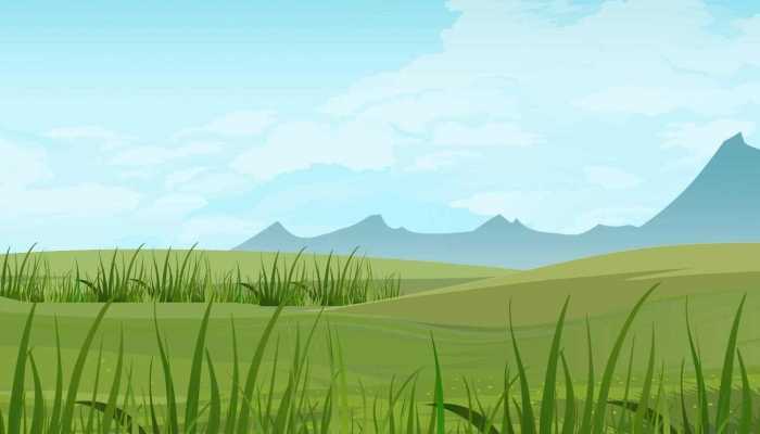 治沙用的草是什么草 人类当前的治沙行动