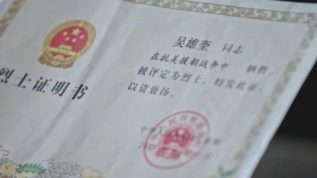 英雄之光丨橄榄树下,酿酒等你70年…… 英雄之光丨橄榄树下,酿酒等你70年……