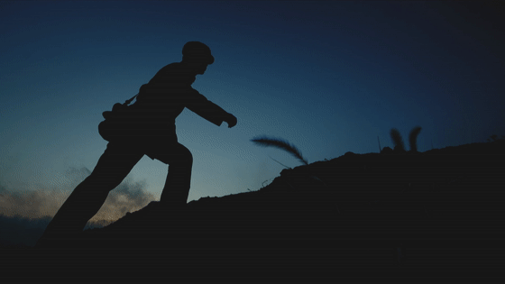 英雄之光丨橄榄树下,酿酒等你70年…… 英雄之光丨橄榄树下,酿酒等你70年……
